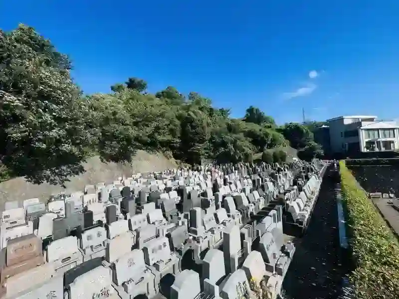 周囲は多くの緑に囲まれている
