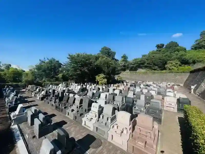 墓地①