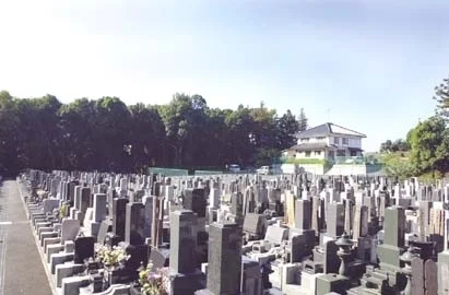 墓地全景