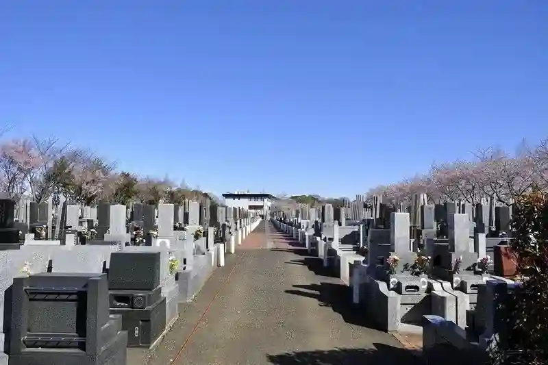 歩きやすい広い道