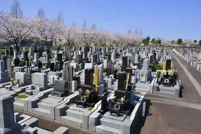 広く開放感のある墓地