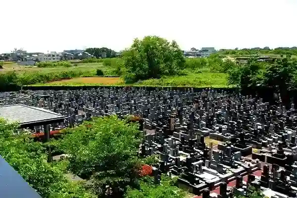 緑豊かな環境