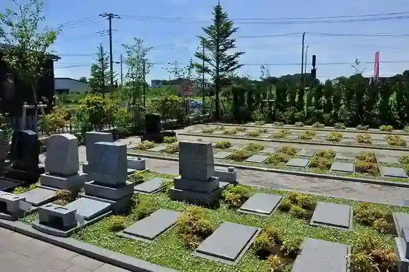 植栽が綺麗に映える