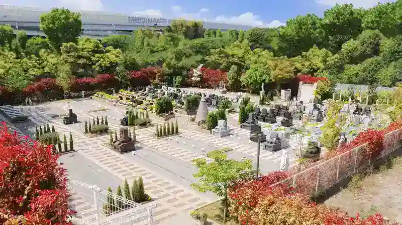 墓地全景