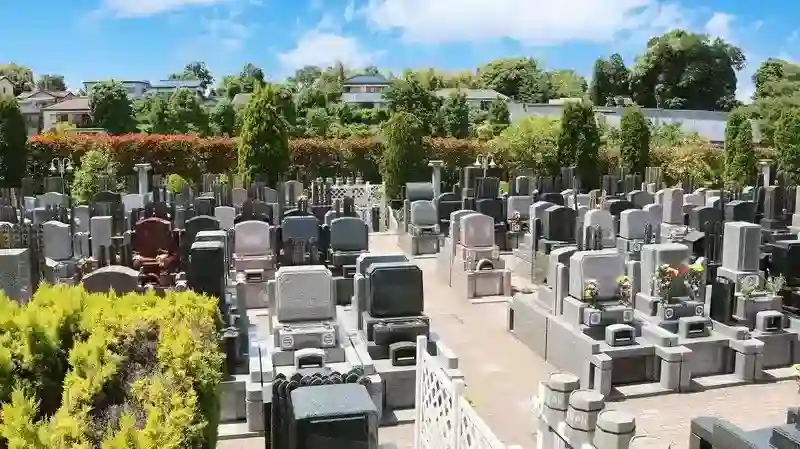 墓地①