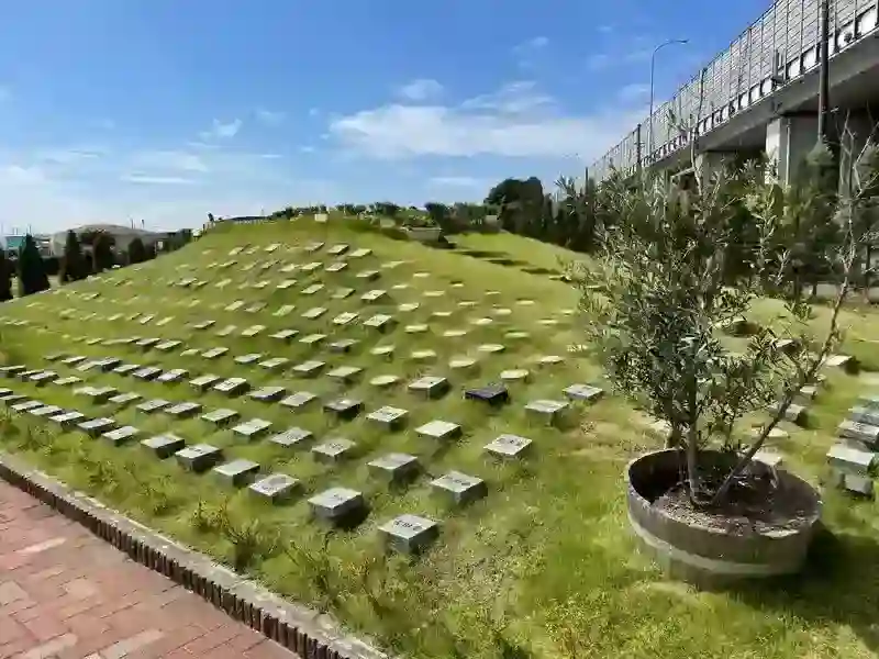 吉川霊園　樹木葬　オリーブの丘