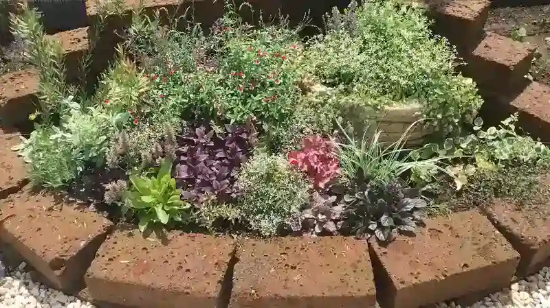 園内を彩る花々