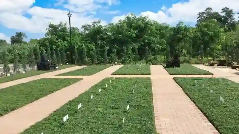 墓地全景②