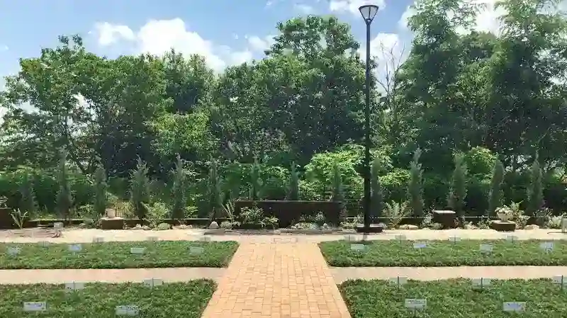 広くて歩きやすい参道