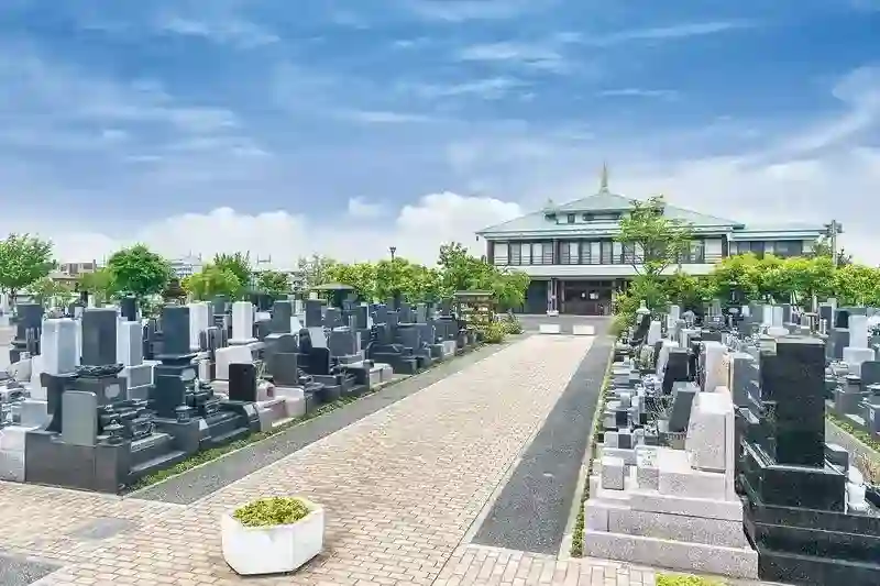 舗装された道