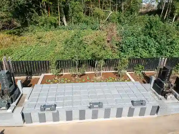 全景②