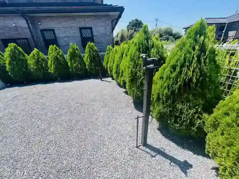 ドッグポール