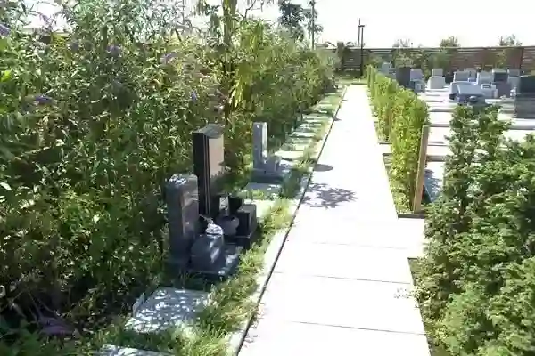 陽当たりも良好です