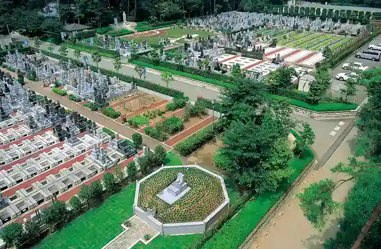 全体風景