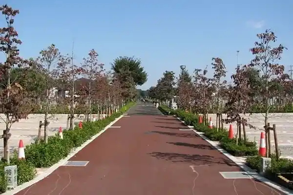 参道は広々としています
