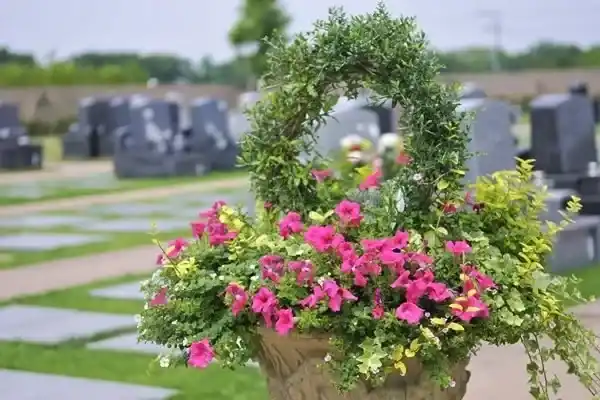 綺麗なお花が咲いています