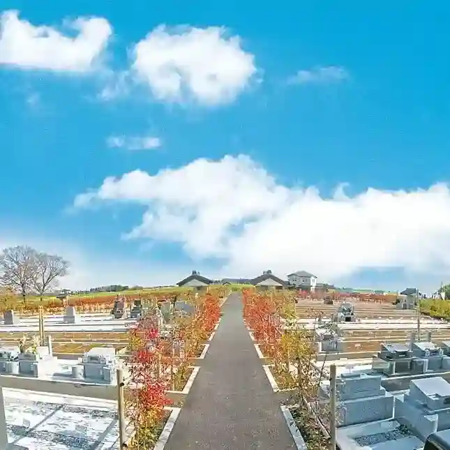 広大で開放的な園内