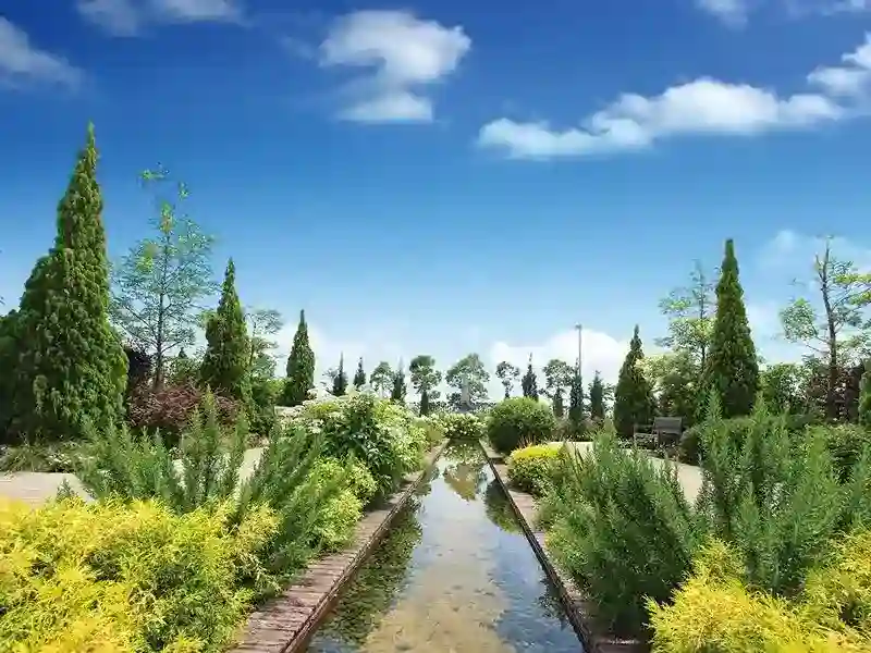 緑が映える霊園