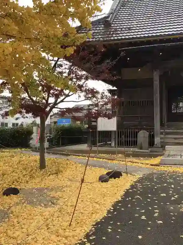 紅葉が美しい境内