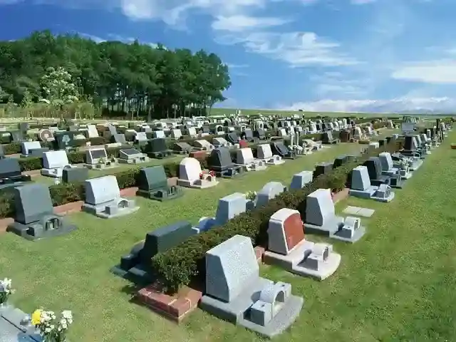墓域