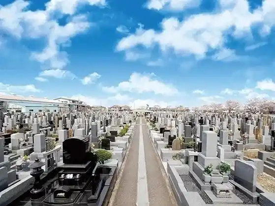 綺麗な参道とお墓