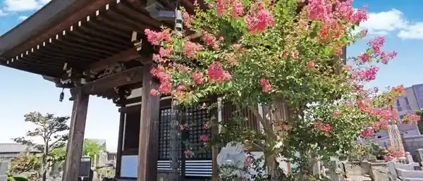 苑内風景③