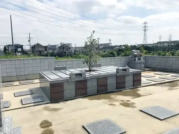 樹木葬③