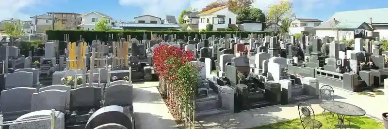 墓地全景