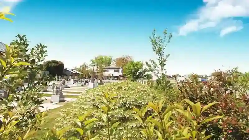 緑豊かな環境②