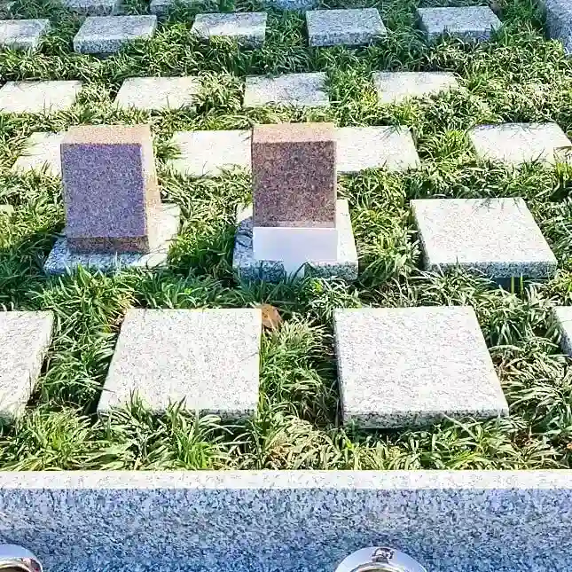 ペットと一緒に入ることもできます