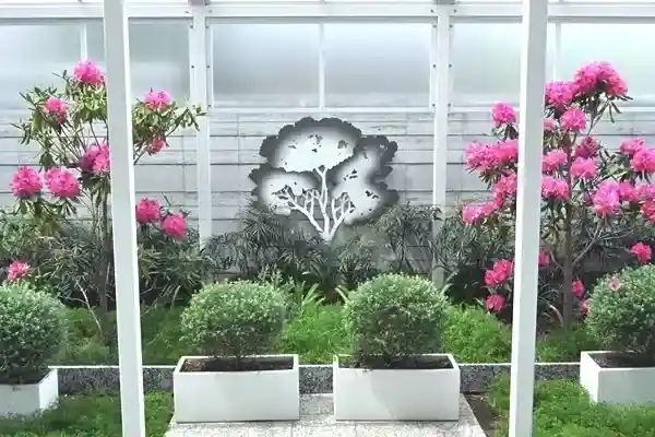手入れの行き届いた植栽