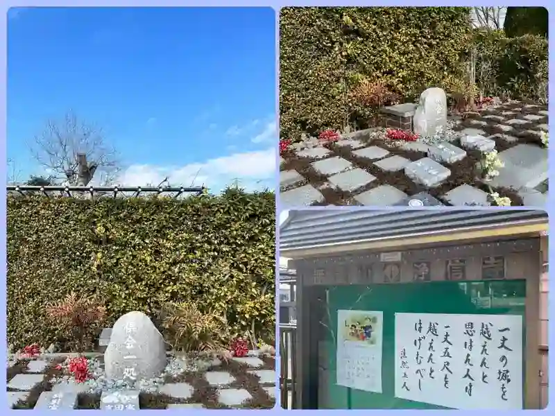 墓地の様子