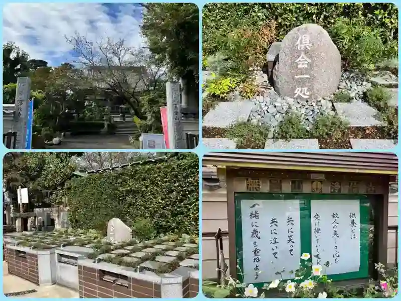 墓地の様子