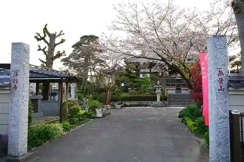 開花の時期には桜が墓地を彩ります。