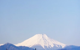 園内から見える富士山