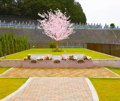 樹木葬　桜