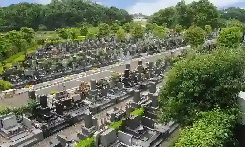 園内は平坦なコンクリート仕様