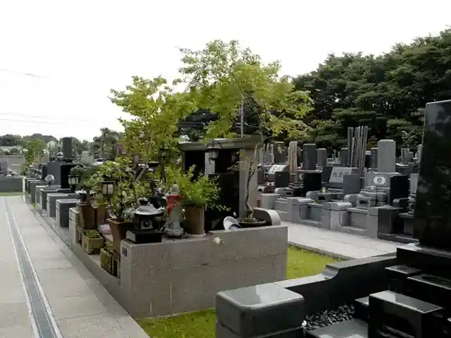 墓域③