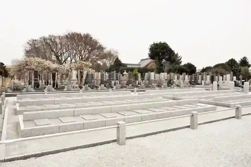 墓地全景