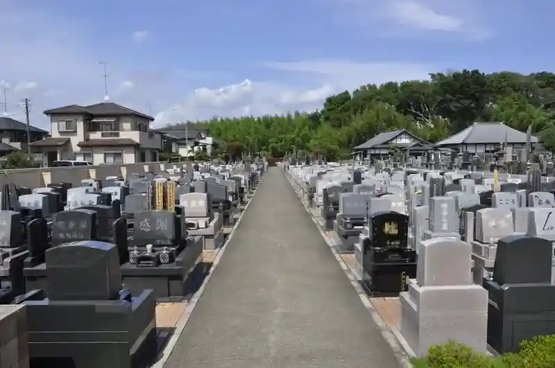 墓地全景
