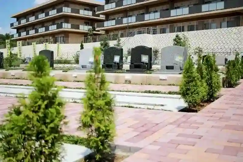 綺麗に管理された参道