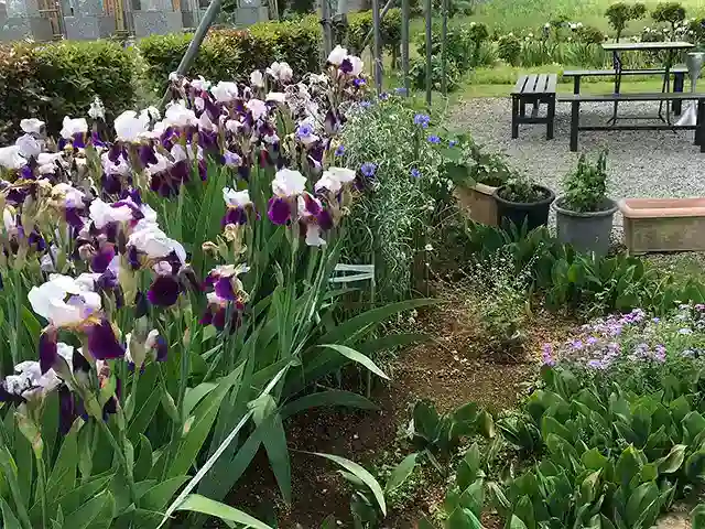 綺麗な植栽