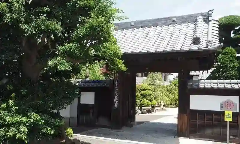 入口