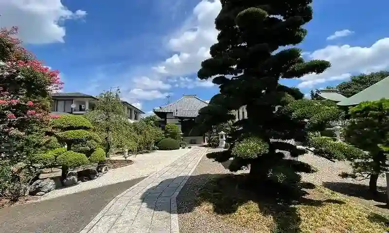 手入れのされた植栽