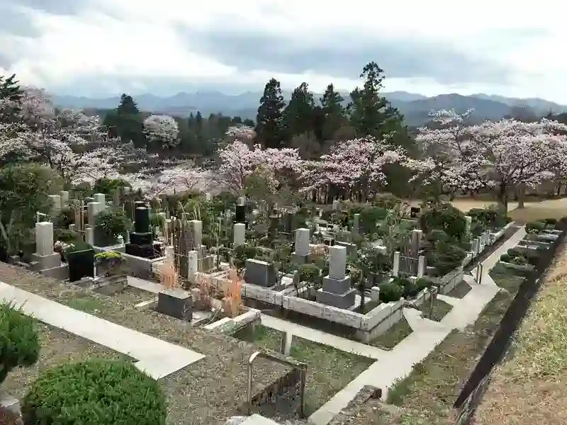 桜の季節
