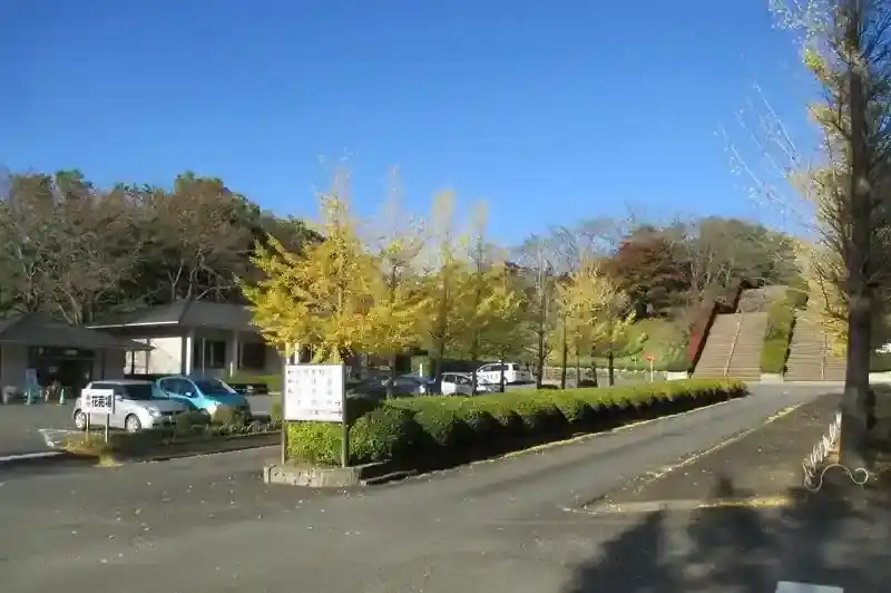 紅葉の季節のメイン参道