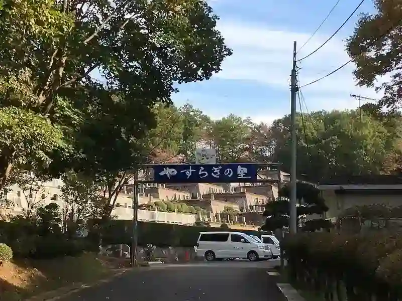 入口
