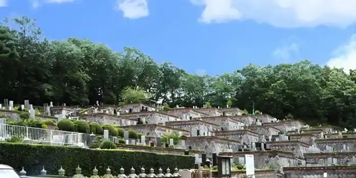 全景
