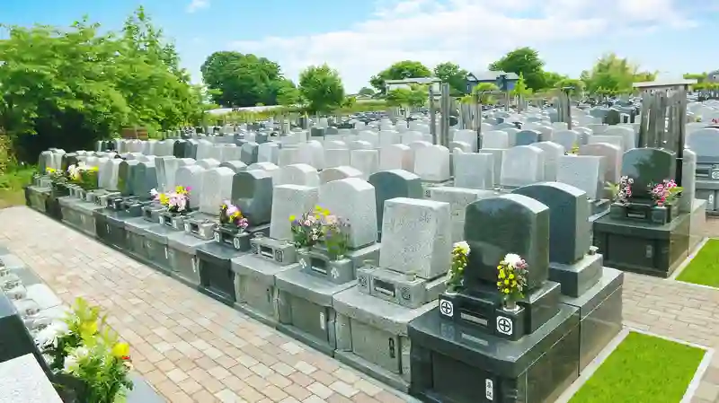 墓地