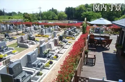 園内は日当たりがよく明るい雰囲気